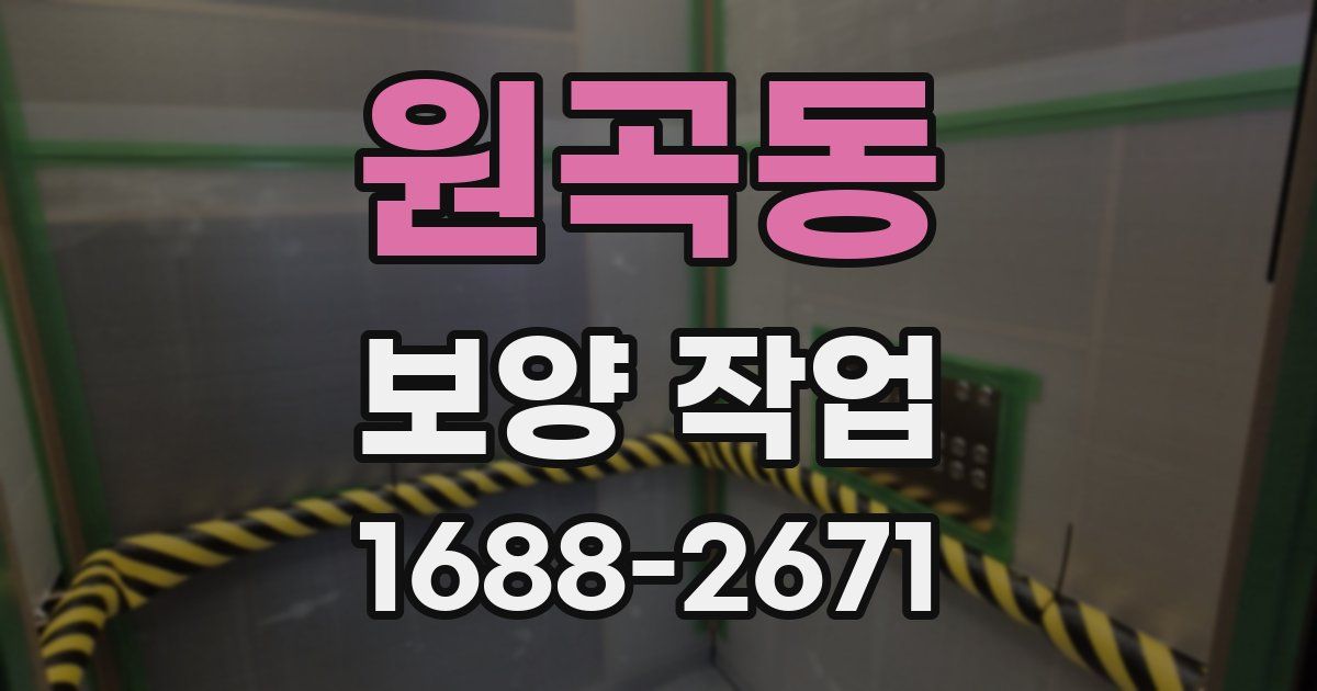 원곡동 보양 작업