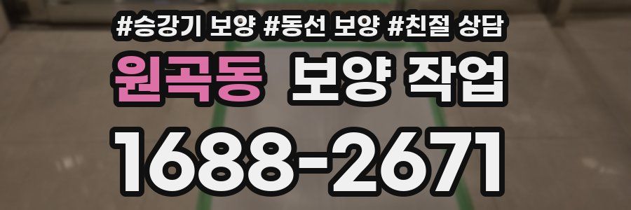 원곡동 보양 작업