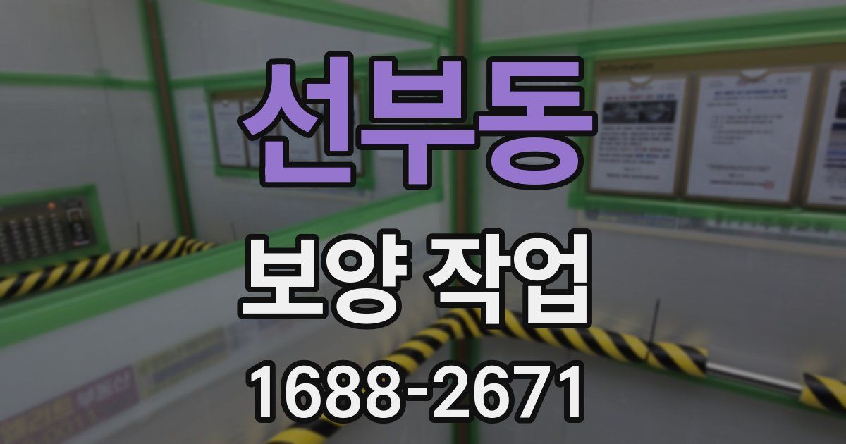 선부동 보양 작업