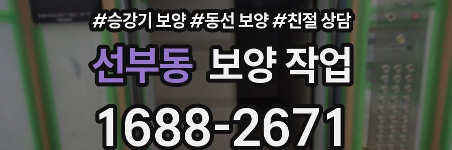 선부동 보양 작업