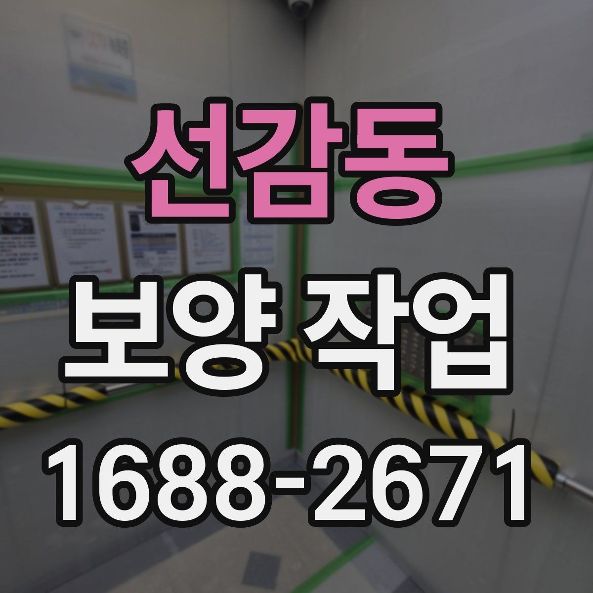 선감동 보양 작업 관리가 중요한 이유