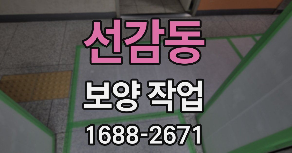 선감동 보양 작업