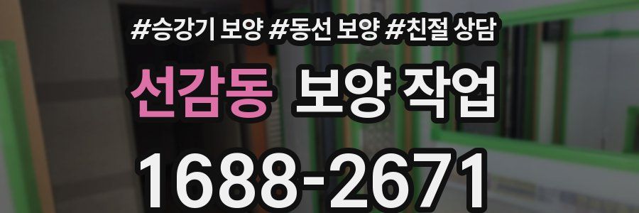 선감동 보양 작업