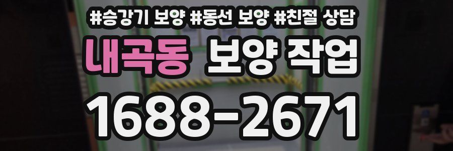 내곡동 보양 작업