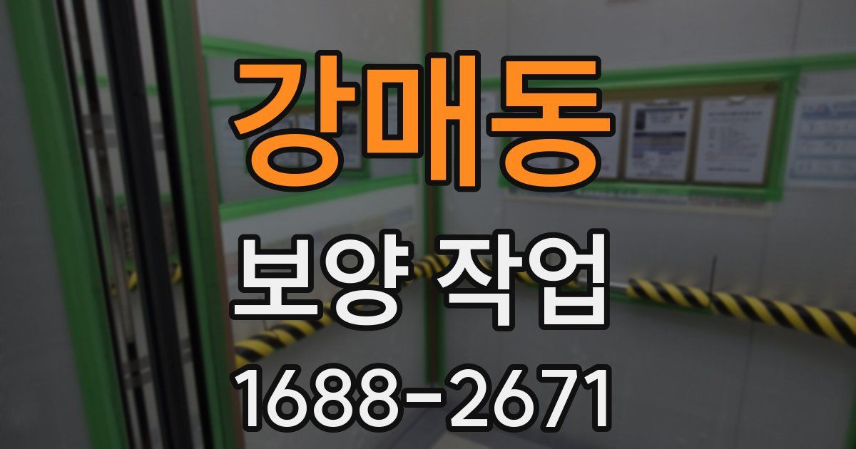 강매동 보양 작업