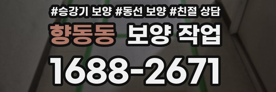 향동동 보양 작업