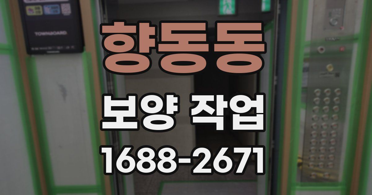 향동동 보양 작업