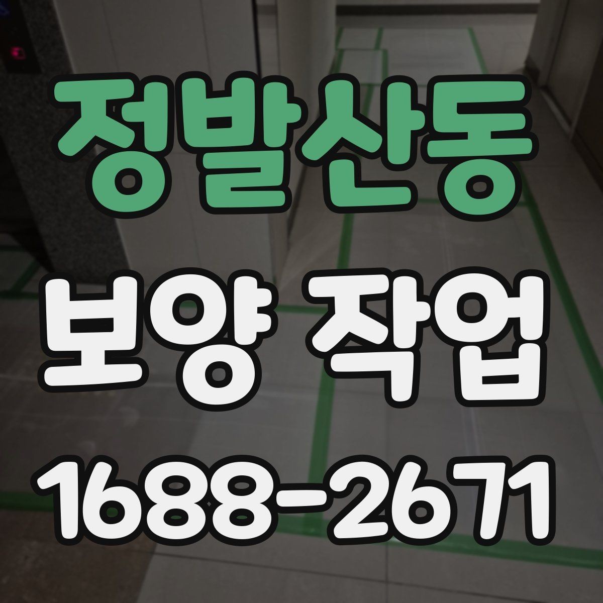 정발산동 보양 작업 전후 사진으로 보는 현장 변화