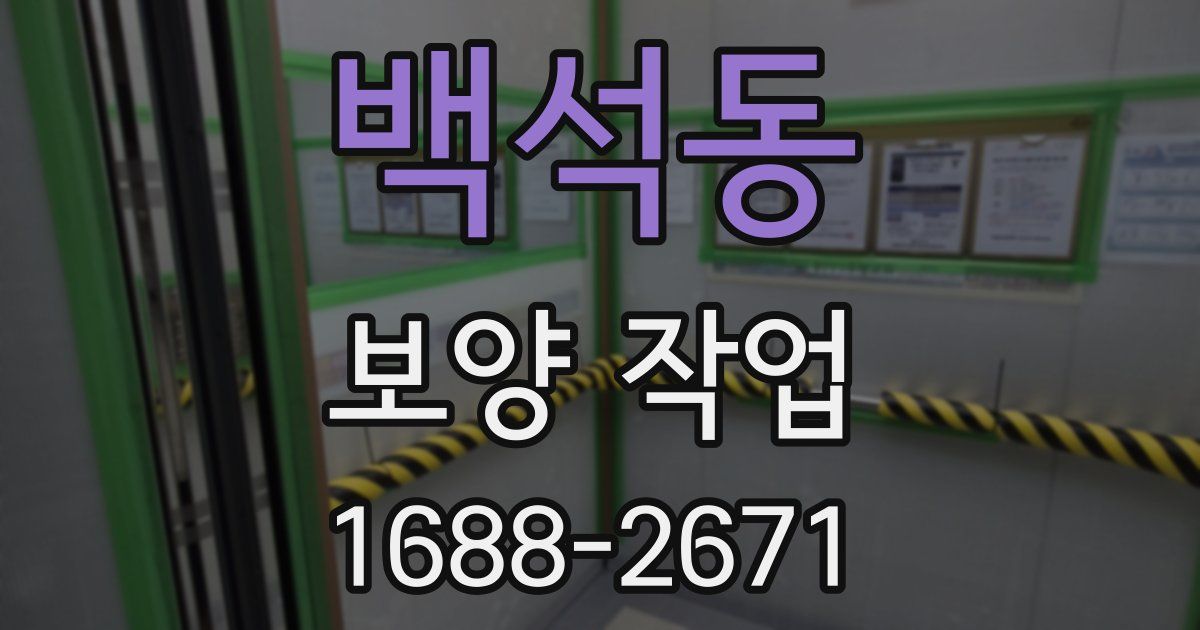 백석동 보양 작업