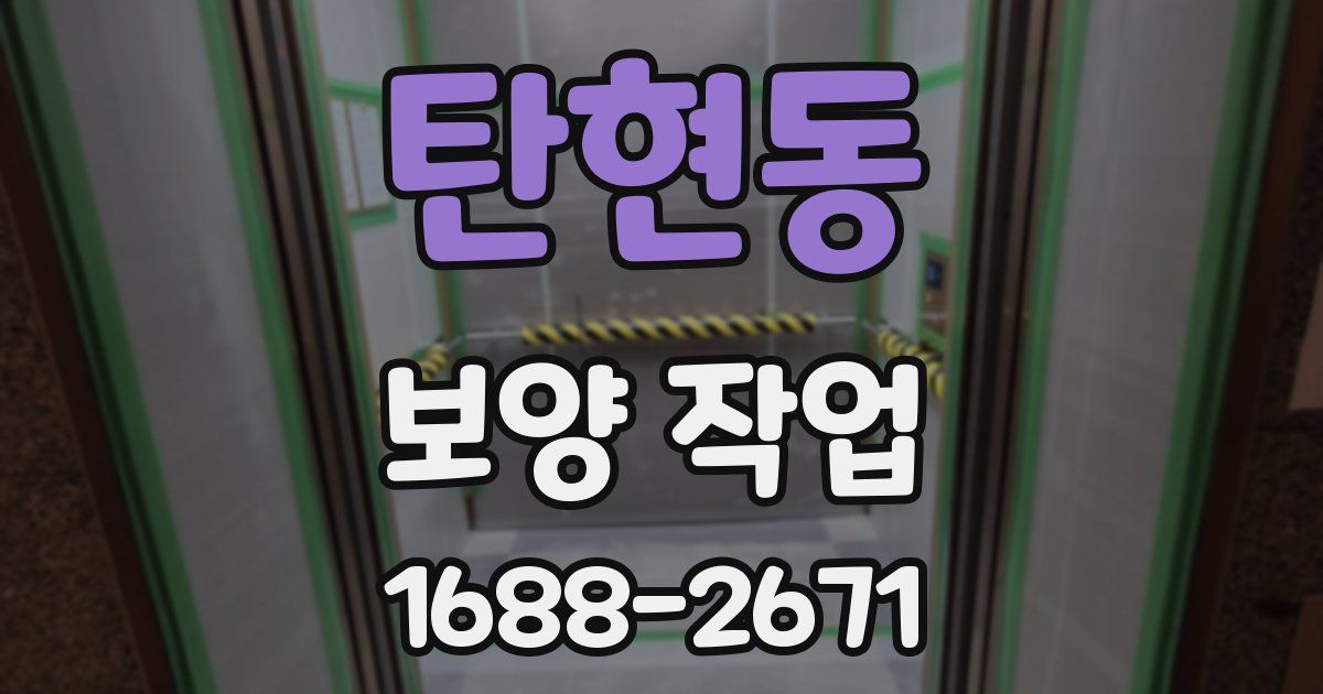 탄현동 보양 작업