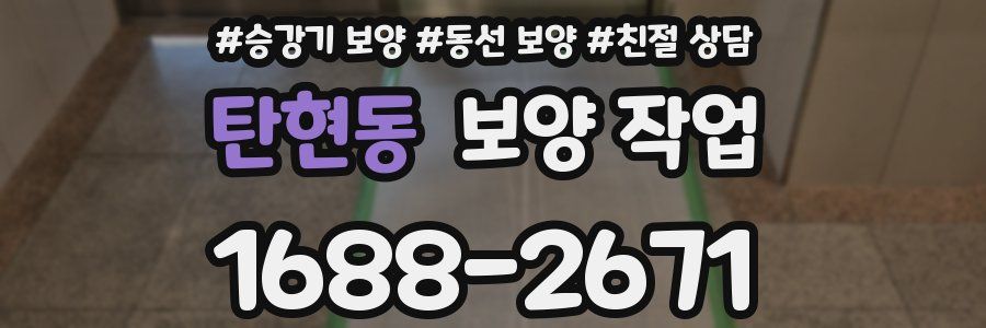 탄현동 보양 작업
