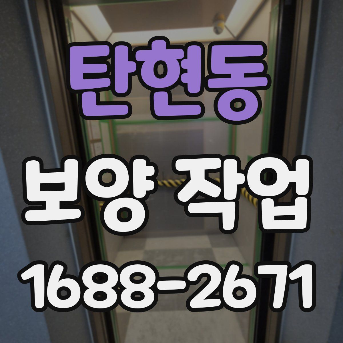 탄현동 보양 작업