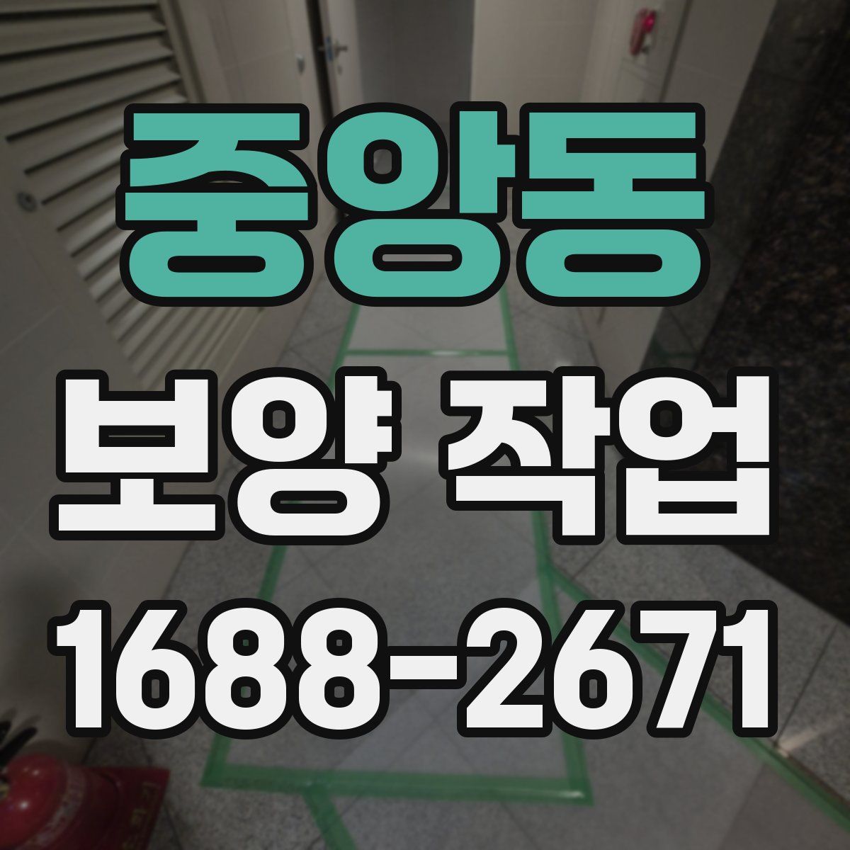 중앙동 보양 작업