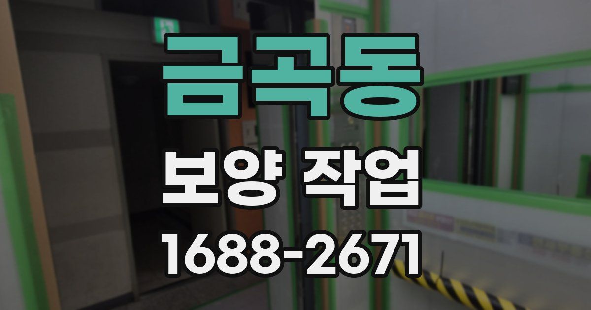 금곡동 보양 작업