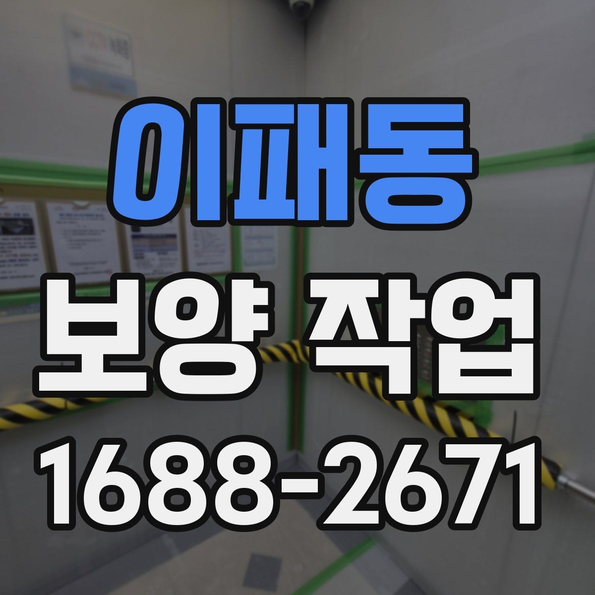 이패동 보양 작업 시 주의 포인트과 관리 방법