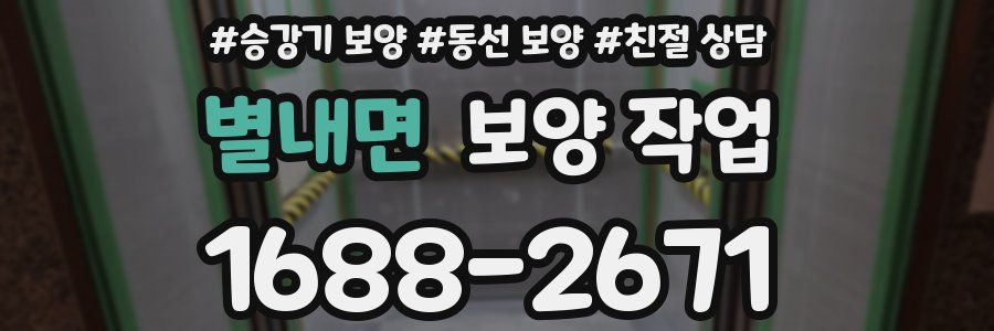별내면 보양 작업