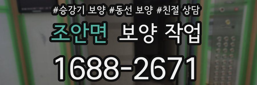 조안면 보양 작업