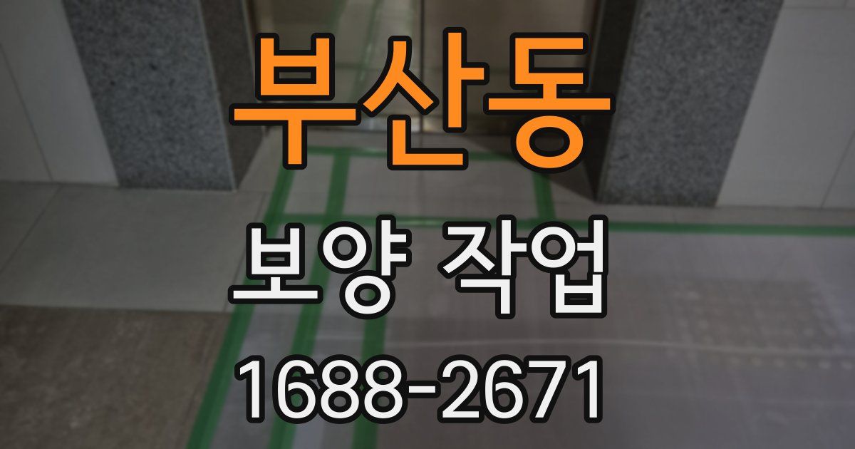 부산동 보양 작업