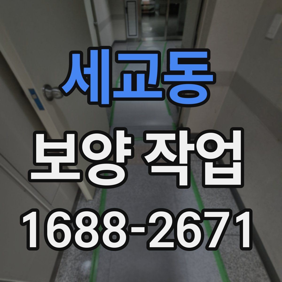 세교동 보양 작업 전후로 달라지는 관리 포인트