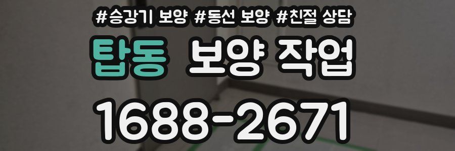 탑동 보양 작업