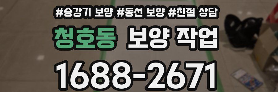 청호동 보양 작업