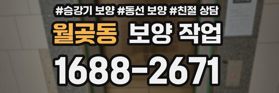 월곶동 보양 작업