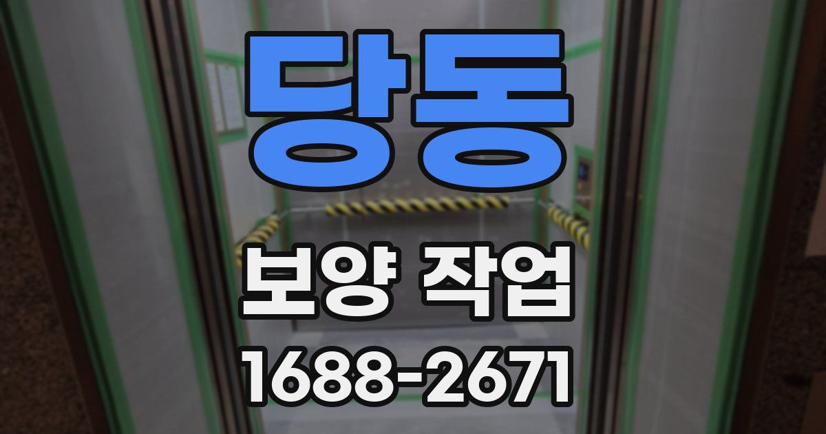 당동 보양 작업
