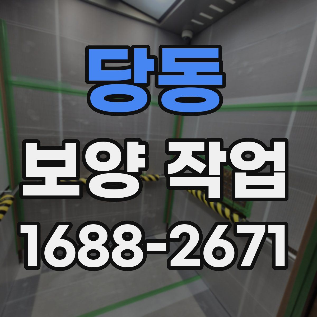 당동 보양 작업