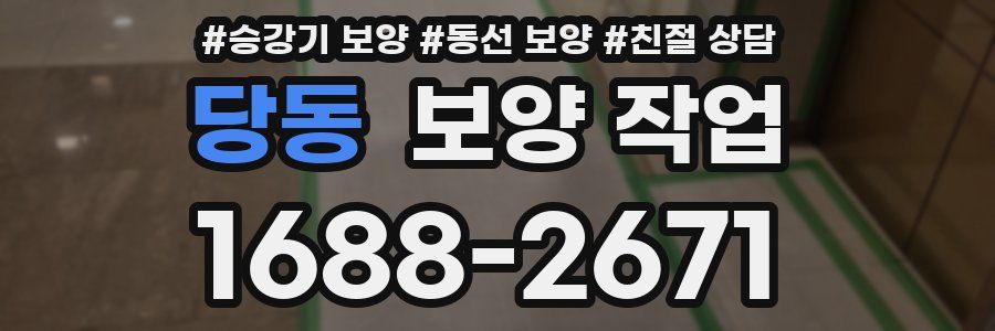 당동 보양 작업