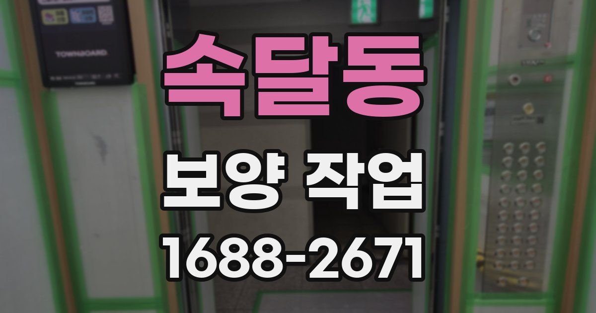 속달동 보양 작업