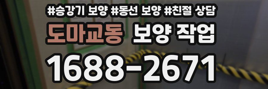도마교동 보양 작업