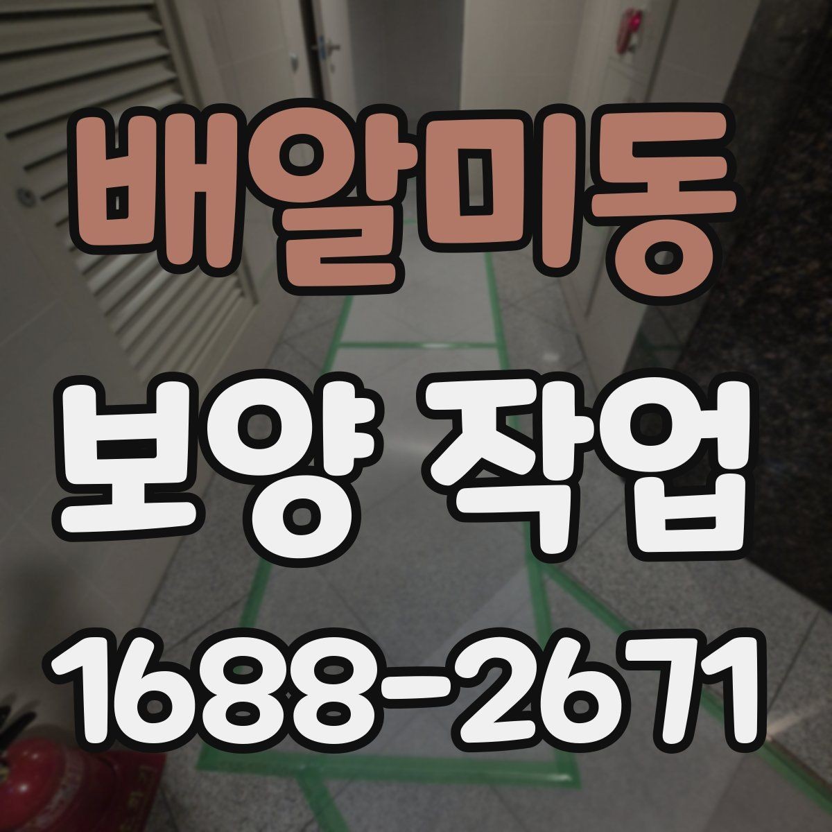 배알미동 보양 작업 현장별 보호 수준 차이