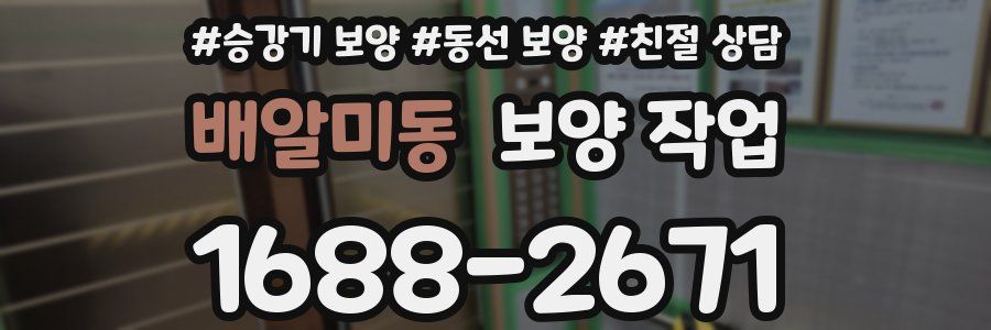 배알미동 보양 작업