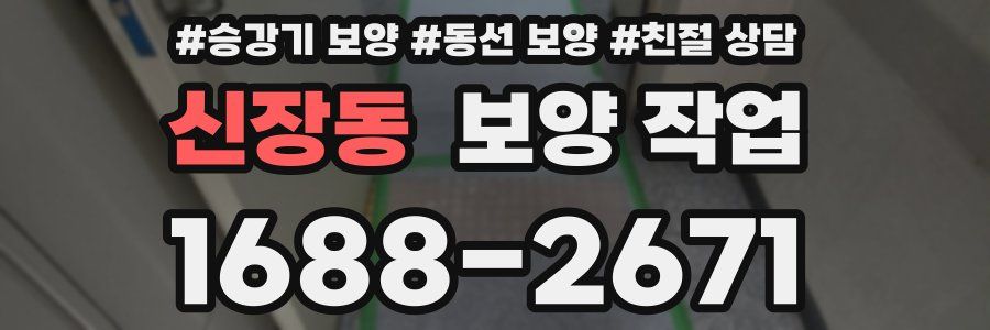 신장동 보양 작업