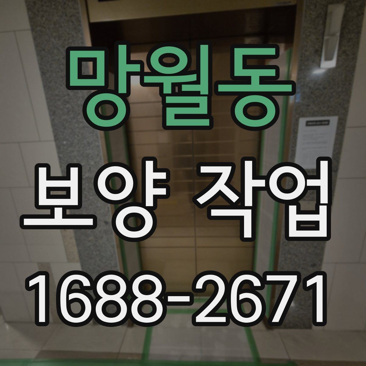 망월동 보양 작업 전후 비교로 보는 변화