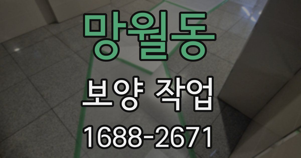 망월동 보양 작업