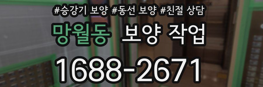 망월동 보양 작업