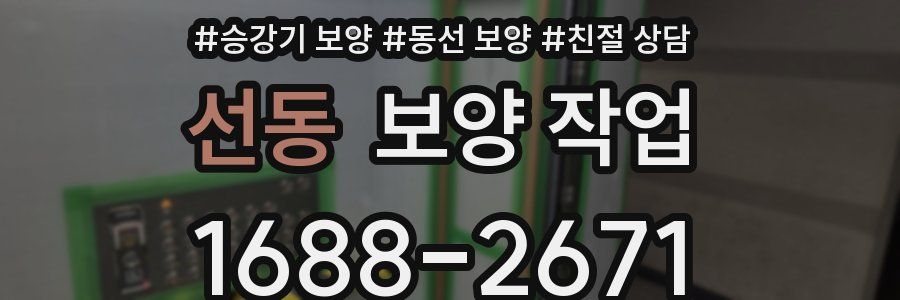 선동 보양 작업