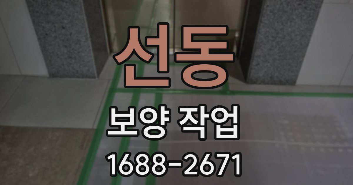 선동 보양 작업