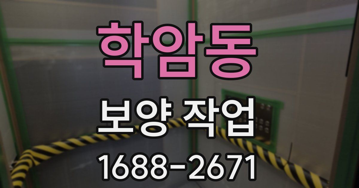 학암동 보양 작업
