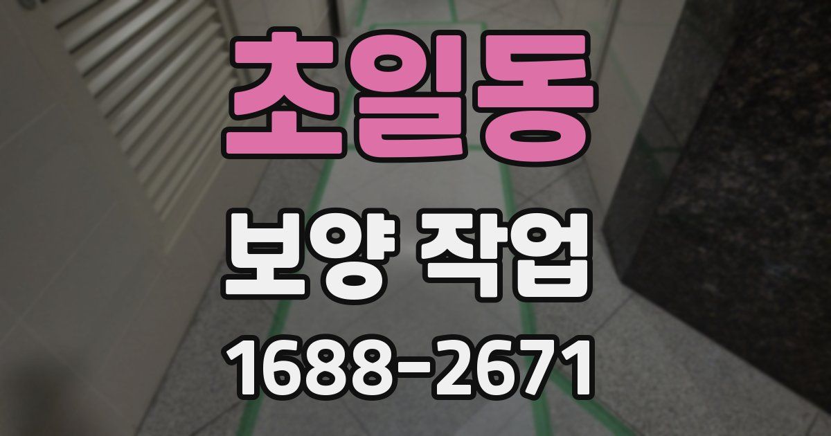 초일동 보양 작업