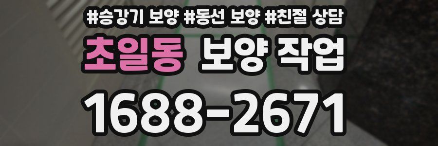 초일동 보양 작업