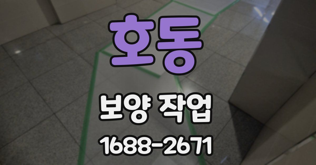 호동 보양 작업