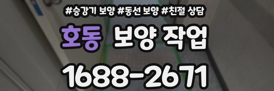 호동 보양 작업