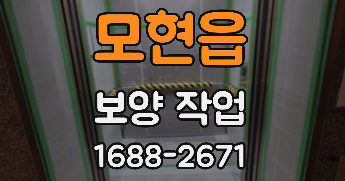 모현읍 보양 작업
