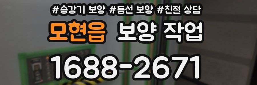 모현읍 보양 작업