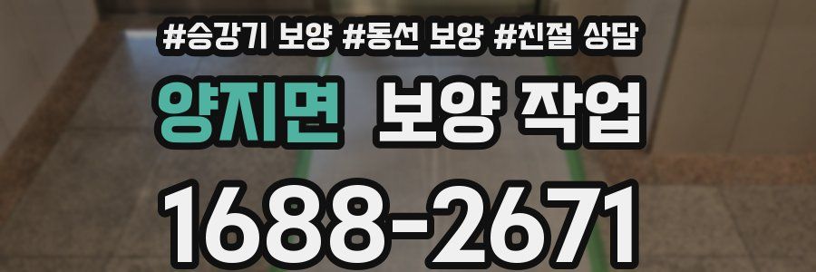 양지면 보양 작업