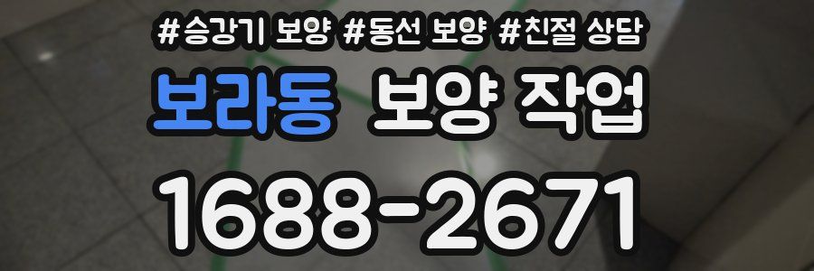 보라동 보양 작업