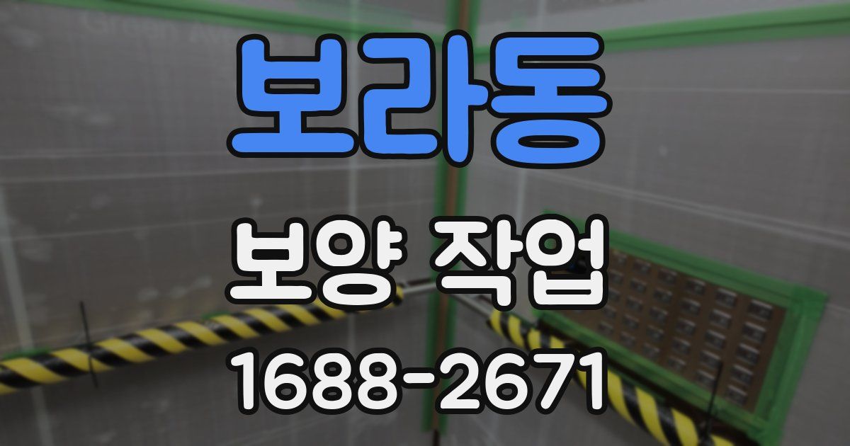 보라동 보양 작업
