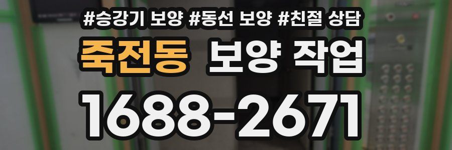 죽전동 보양 작업